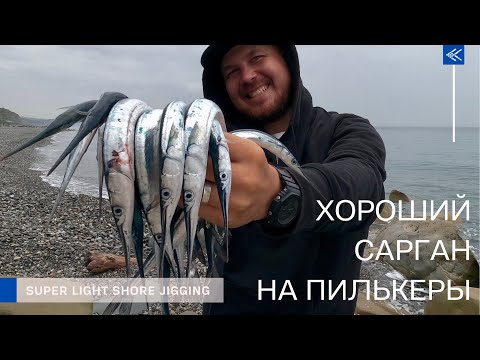 Видео: Хороший сарган на пилькеры!!! Поздняя осень. Сочи.