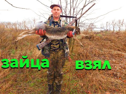 Видео: Охота на ЗАЙЦА! Сегодня я фортовый!! Мой день. Чуть не наступил на ЗАЙЦА