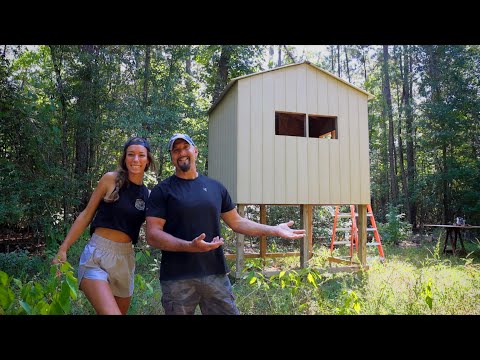 Видео: ОБНОВЛЕНИЯ SWAMP HOUSE | Дом без электросети вдали от дома