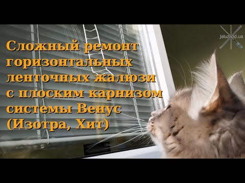 Видео: Как заменить лесенку и ленту на жалюзи Венус Хит Изотра с плоским карнизом Venus blinds repair