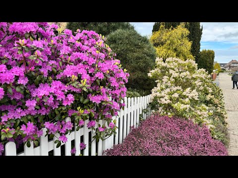 Видео: День Пасхи 🌟 Прогулка по нашим садам 🌟 Schöne Gärten 🌟