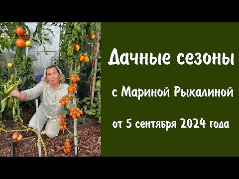 Видео: Дачные сезоны с Мариной Рыкалиной от 5 сентября 2024 года