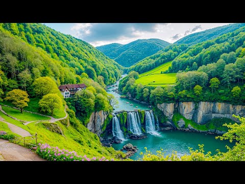 Видео: Все ваши тревоги исчезнут, если вы послушаете эту музыку🌿 Расслабляющая музыка успокаивает нервы #2