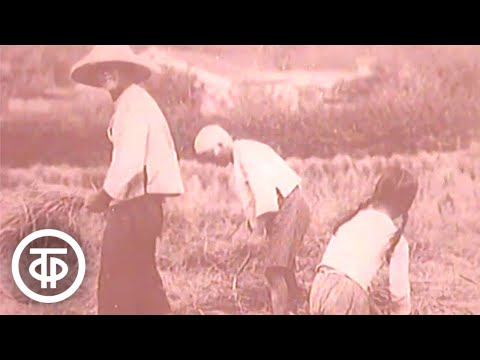 Видео: Об истории селекции растений (1984)
