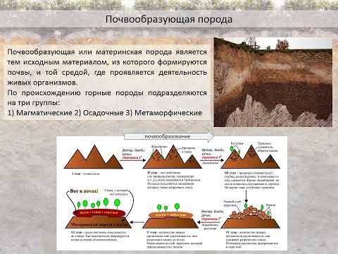 Видео: «ПОЧВОВЕДЕНИЕ, КАК ЕСТЕСТВЕННОНАУЧНАЯ ДИСЦИПЛИНА  ПОЧВЫ КАРЕЛИИ»