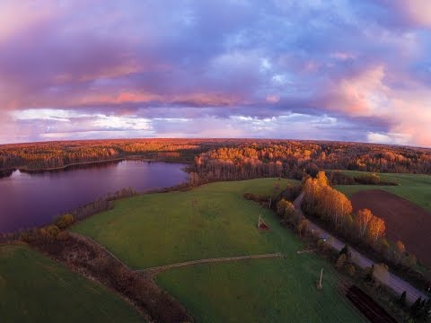 Видео: 7 советов: что снимать в золотую осень