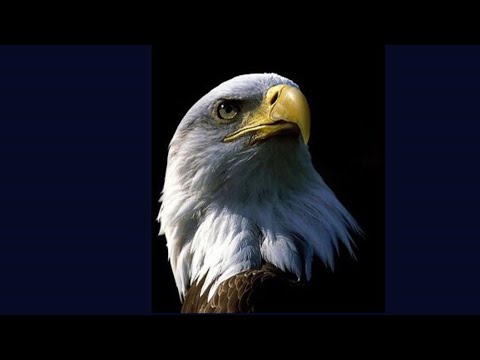 Видео: Пропитывание это Жизнь в Наследии. 28 сентября 2020г.