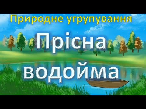 Видео: Природне угрупування. Прісна водойма.