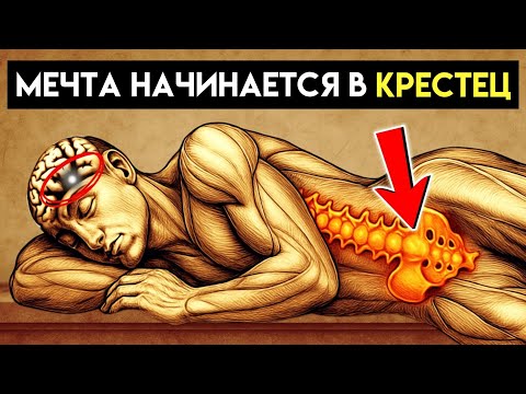 Видео: Краниосакральная терапия: священное прикосновение, активирующее осознанные сновидения наяву