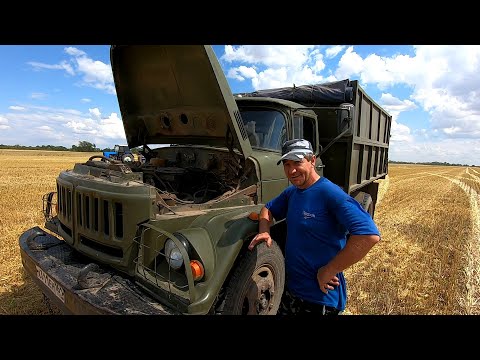 Видео: Помощник из СССР! Наши ЗИЛы еще на ходу. Уборка урожая 2023