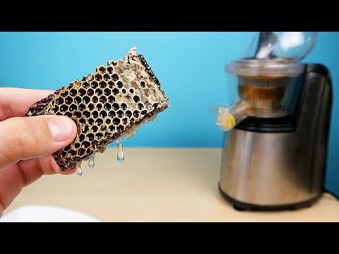 Видео: Что если выжать Медовые Соты в Соковыжималке? МедоВыжималка! alex boyko