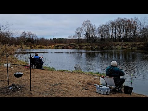 Видео: О Такой Рыбалке Мы и не Мечтали! Крупные Лещи в Ноябре! Рыбалка с Ночевкой. Лещ на Фидер Ночью.