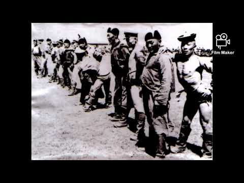 Видео: Амь насаар дэнчин тавьсан түрүү үзүүр /Нахиу хэмээх Шагдарын Санжсүрэн арслан/