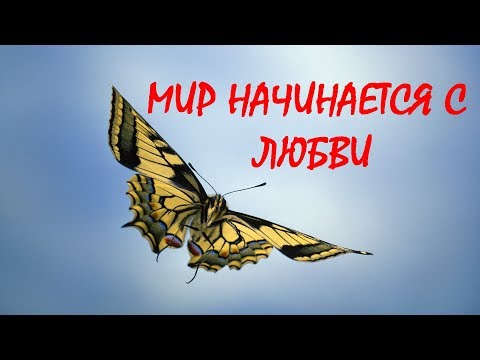 Видео: Мир начинается с Любви [Р. Адамс, озв. Никошо]