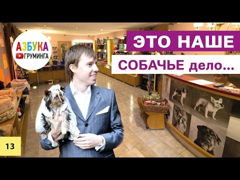 Видео: Бизнес на стрижке собак. Первые груминг-салоны в Москве 2002 - 2017гг.