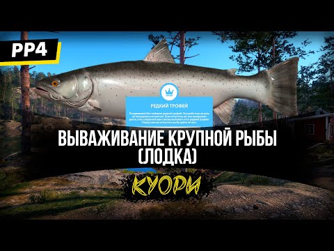 Видео: Вываживание крупной рыбы на Куори (Лодка) Синий трофей Озерная форель - Русская Рыбалка 4