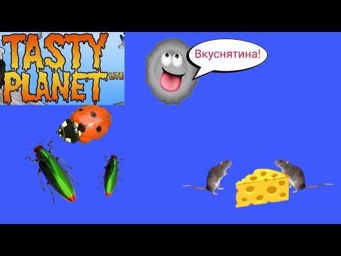 Видео: ЕДИМ ВСЁ В ИГРЕ TASTY PLANET LITE (СЪЕДОБНАЯ ПЛАНЕТА) #1