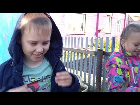 Видео: Будни нашей семьи.Воскресный день.