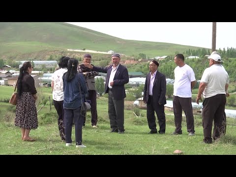 Видео: Түркістан облысындағы Тұрбат ауылының тұрғындары түтінге тұншығып жүр