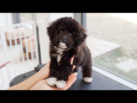 Видео: Сними белые носки!!