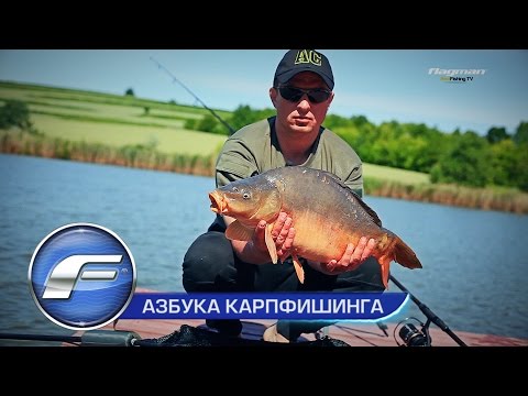 Видео: Охотники за трофеями