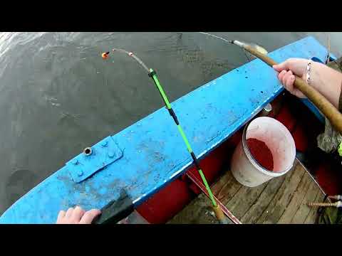 Видео: ПО ТРИ РЫБЫ ЗА РАЗ. ЖОР ЛЕЩА.Ловля леща с лодки.РЫБАЛКА на верхней ВОЛГЕ.