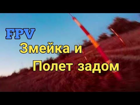 Видео: Fpv тренировка / Пролёт задом и Змейка.