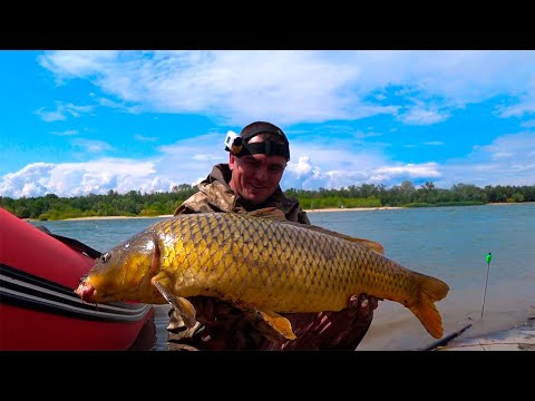 Видео: ТРОФЕЙНЫЕ САЗАНЫ В КОРЯГАХ !!! ЖЕНА В ШОКЕ!!!