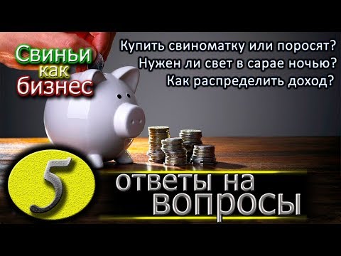 Видео: ПОРОСЯТА ИЛИ СВИНОМАТКА - С ЧЕГО НАЧАТЬ