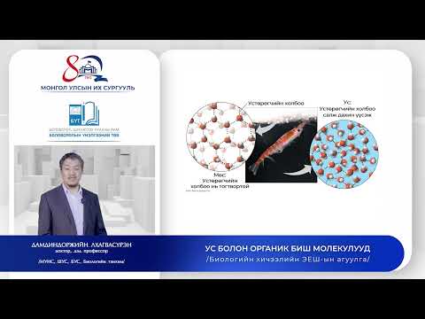 Видео: Биологи №2