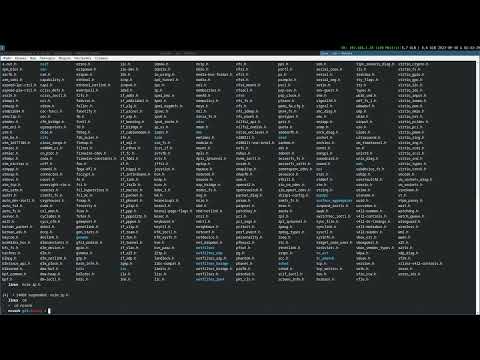 Видео: Фишки из стандартной библиотеки C (по большей части сетевое программирование)