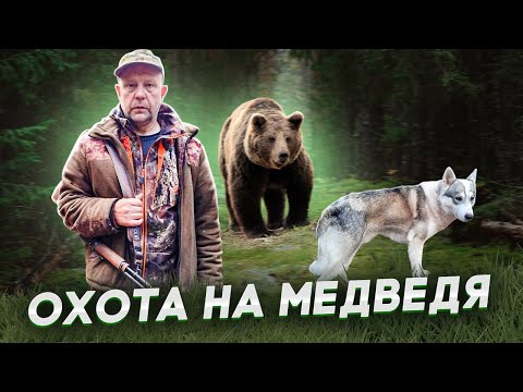 Видео: Добыл зверя. Охота с лайками. Беда с собакой. Медвежий жир.