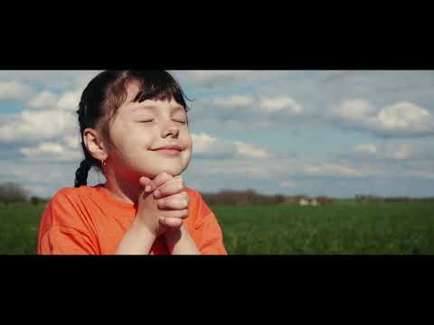 Видео: "Время Жатвы: Как Бог благословляет нас в сезоне сбора урожая 🌾🙏"