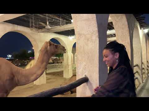 Видео: Доха, Катар Част 2: Пустиня, лукс и малко магия 🇶🇦