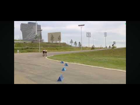 Видео: Летний Чемпионат РК по лыжным гонкам. Эстафета старшие юноши 4×5