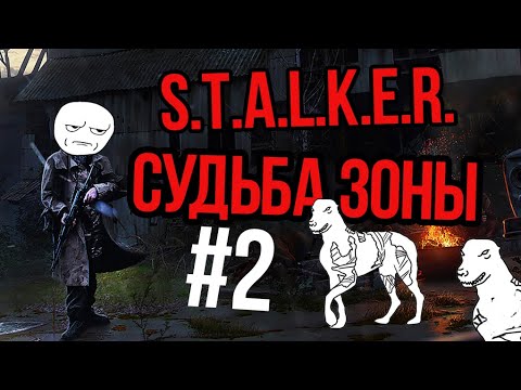 Видео: Судьба зоны #2