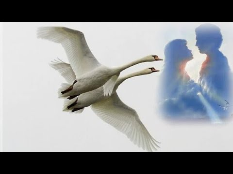 Видео: ДВЕ СУДЬБЫ  ПРОСТИЛИСЬ У ПОРОГА!