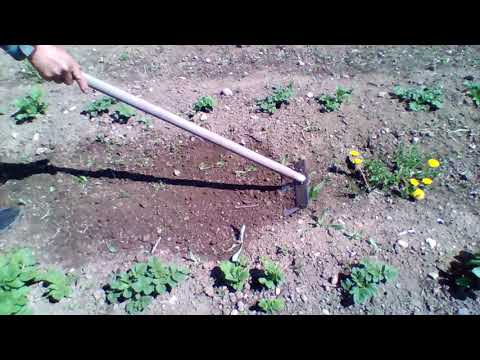 Видео: Плоскорез Швабра и плоскорез Струна.Какой из них лучше.