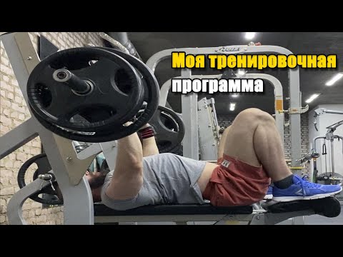 Видео: МОЯ ТРЕНИРОВОЧНАЯ ПРОГРАММА | КАК ПОЛУЧАТЬ УДОВОЛЬСТВИЕ ОТ ТРЕНИРОВОК