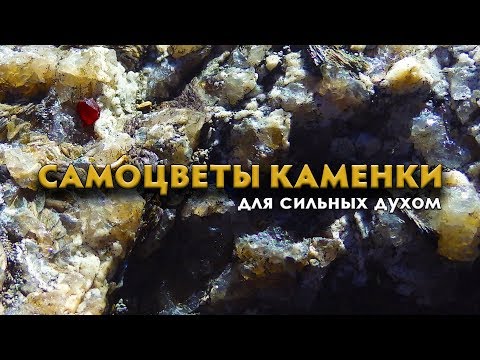 Видео: Самоцветы Каменки для сильных духом. Интересные места Забайкалья