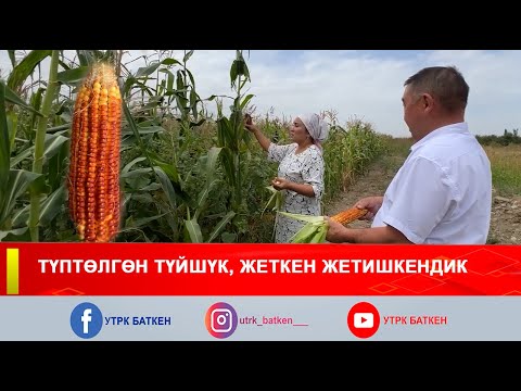 Видео: ТҮПТӨЛГӨН ТҮЙШҮК ЖЕТКЕН ЖЕТИШКЕНДИК