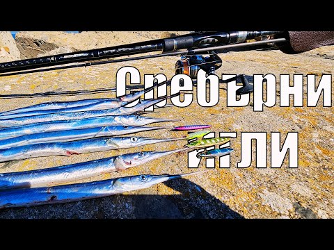 Видео: ТРУДЕН ЛИ Е РИБОЛОВА НА ЗАРГАНИ ЗА НАЧИНАЕЩИ? НА КАКВО ГИ ЛОВЯ??