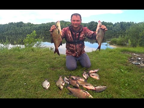 Видео: ЛОВЛЯ ЛЕЩА на ДОНКИ ! РЫБАЛКА на ОКЕ ! Рыбалка в Рязанской области!