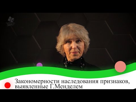 Видео: Закономерности наследования признаков, выявленные Г.Менделем. 9 класс.