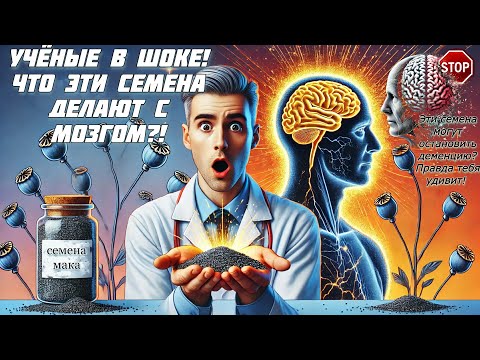 Видео: Семена мака: Польза, противопоказания и неожиданные факты!