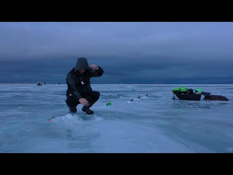 Видео: ЛОВЛЯ КОРЮШКИ НА ФИНСКОМ ЗАЛИВЕ, Сестрорецк курорт (гаражи) КОРЮШКА 2025
