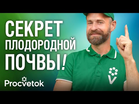 Видео: КАК СДЕЛАТЬ ПОЧВУ ПЛОДОРОДНОЙ БЕЗ НАВОЗА И УДОБРЕНИЙ? Подручные средства для улучшения почвы