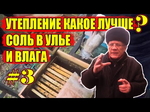 Видео: Утепление ульев на зиму. Чем ЛУЧШЕ утеплить улей на зиму? #3