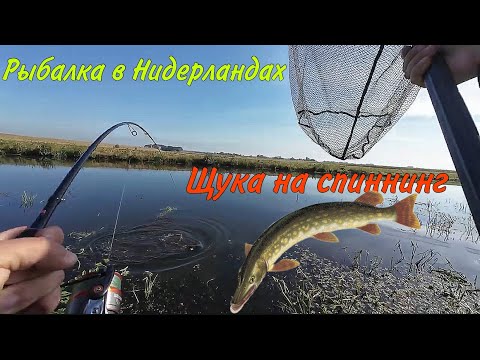 Видео: Рыбалка в Нидерландах. Ловля щуки и окуня, красивые места и проживание. Рыбалка на разных водоемах.