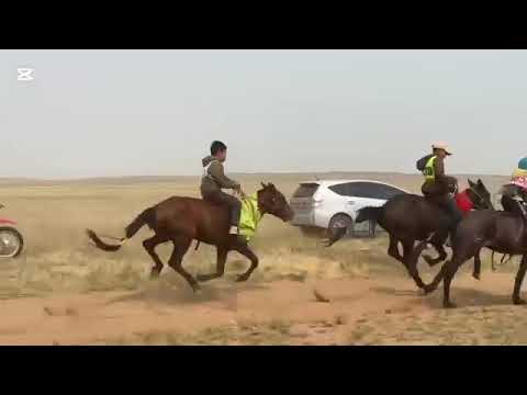 Видео: БАЯН-ӨЛЗИЙ уулын тахилга баяр наадам ШҮДЛЭН насны уралдаан